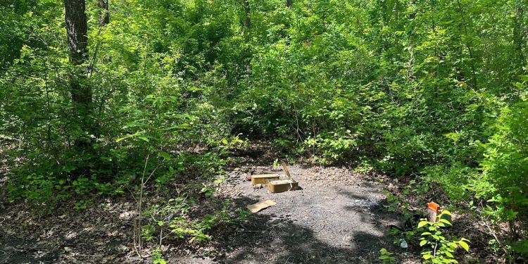 Луганские полицейские нашли оружие и боеприпасы в городской лесополосе