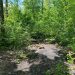 Луганские полицейские нашли оружие и боеприпасы в городской лесополосе