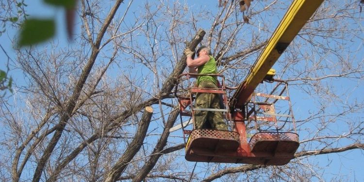 1,8 млн звонков и почти 1000 жизней: луганской Аварийно-спасательной службе – 24 года