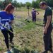 В Первомайске привели в порядок мемориал «Незаживающая рана Донбасса»
