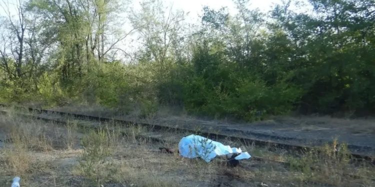 Не поделили дорогу: саратовский рецидивист зарезал водителя «Крайслера» в Краснодоне из-за неудачного обгона