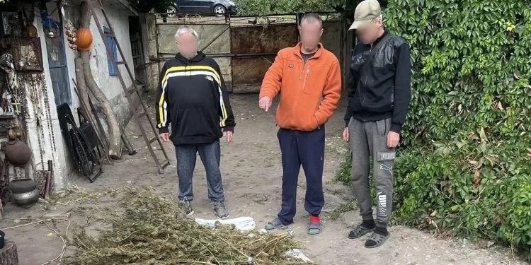Спецоперация «Богатырский урожай»: в Белокуракино объединенный спецназ нейтрализовал местного «ботаника»