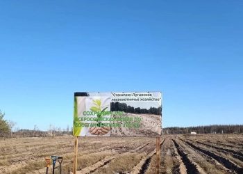 Экологический десант: в республике высадили 250 тысяч деревьев в рамках акции «Сохраним лес»