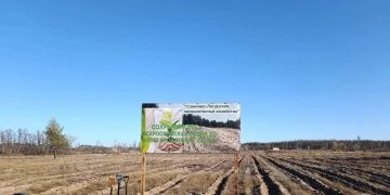 Экологический десант: в республике высадили 250 тысяч деревьев в рамках акции «Сохраним лес»